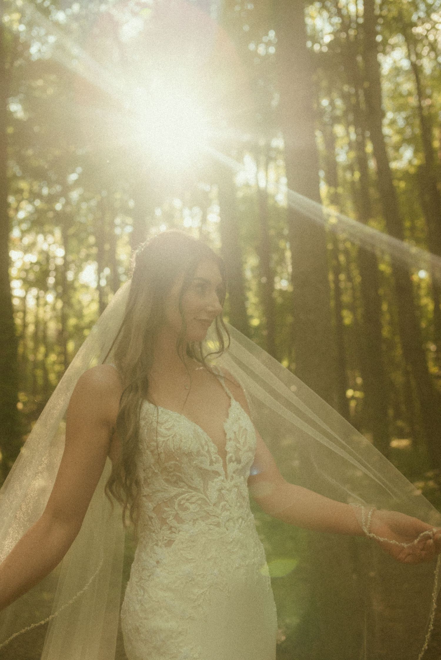 Bride in lace gown and flowing veil stands in sunlit forest, golden rays illuminating her wedding day portrait.