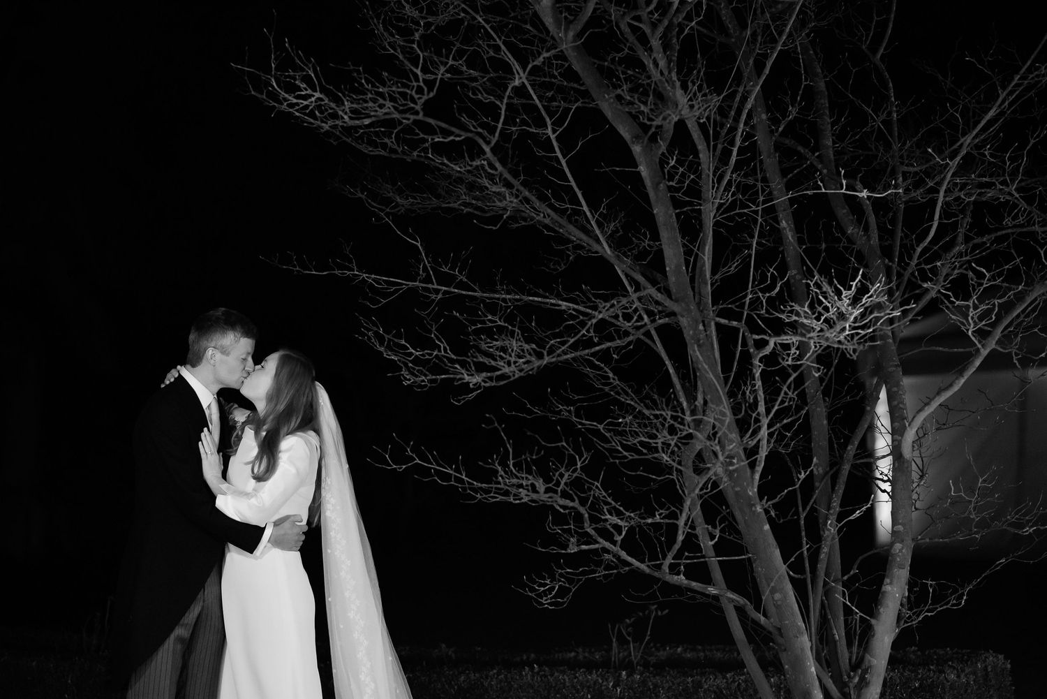 Silhouetted couple embracing under a bare tree branch against a dark night sky.
