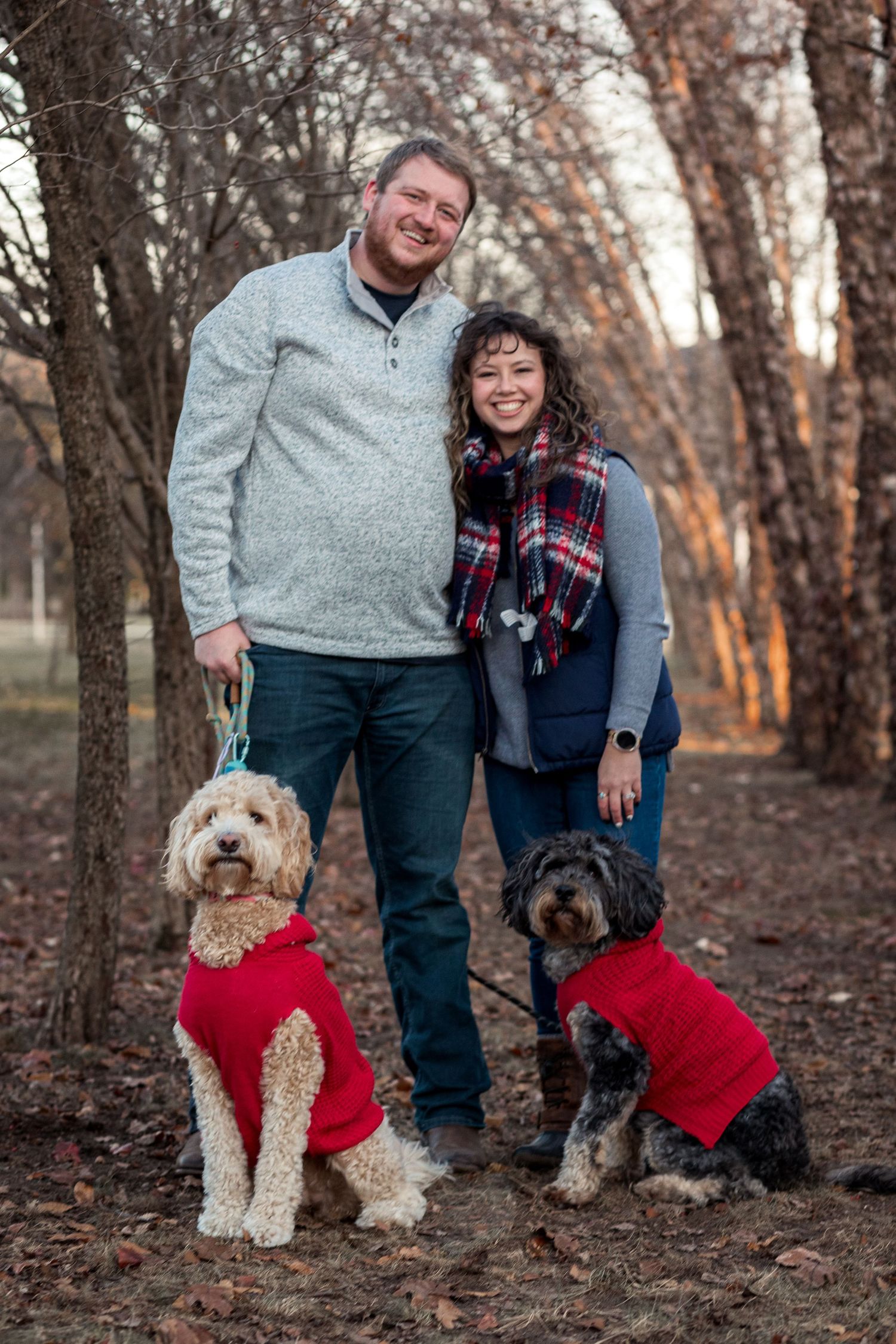 Family session in the woods, showing a couple and their two dogs. JDalbey Photography — family portraits in Champaign, IL.