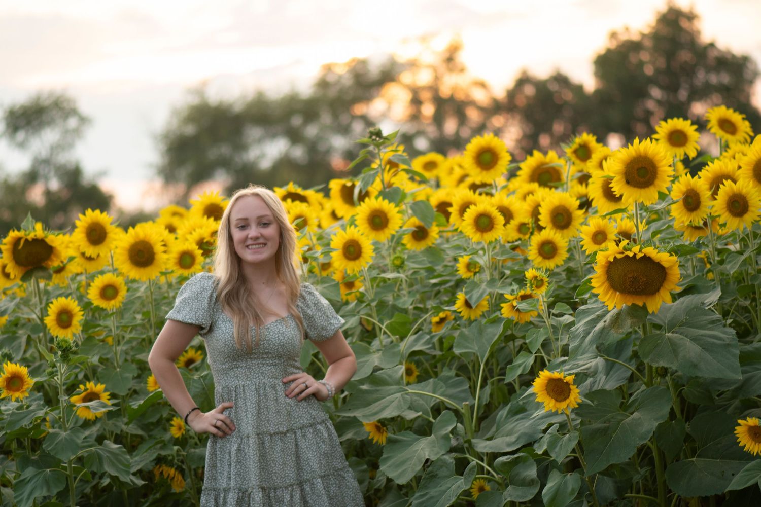 Scenic outdoor photoshoot in a vibrant sunflower field wearing a sage green dress.