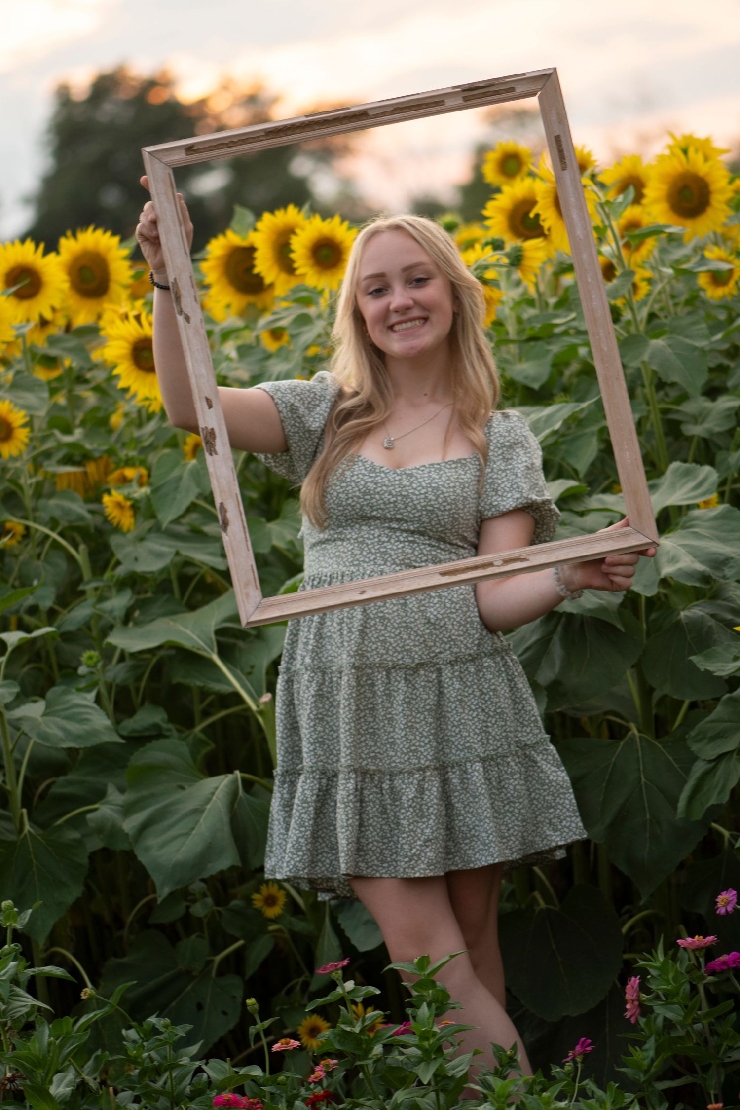 High school senior poses in a wooden frame in sunflower field wearing sage green dress with Simply Junique.
