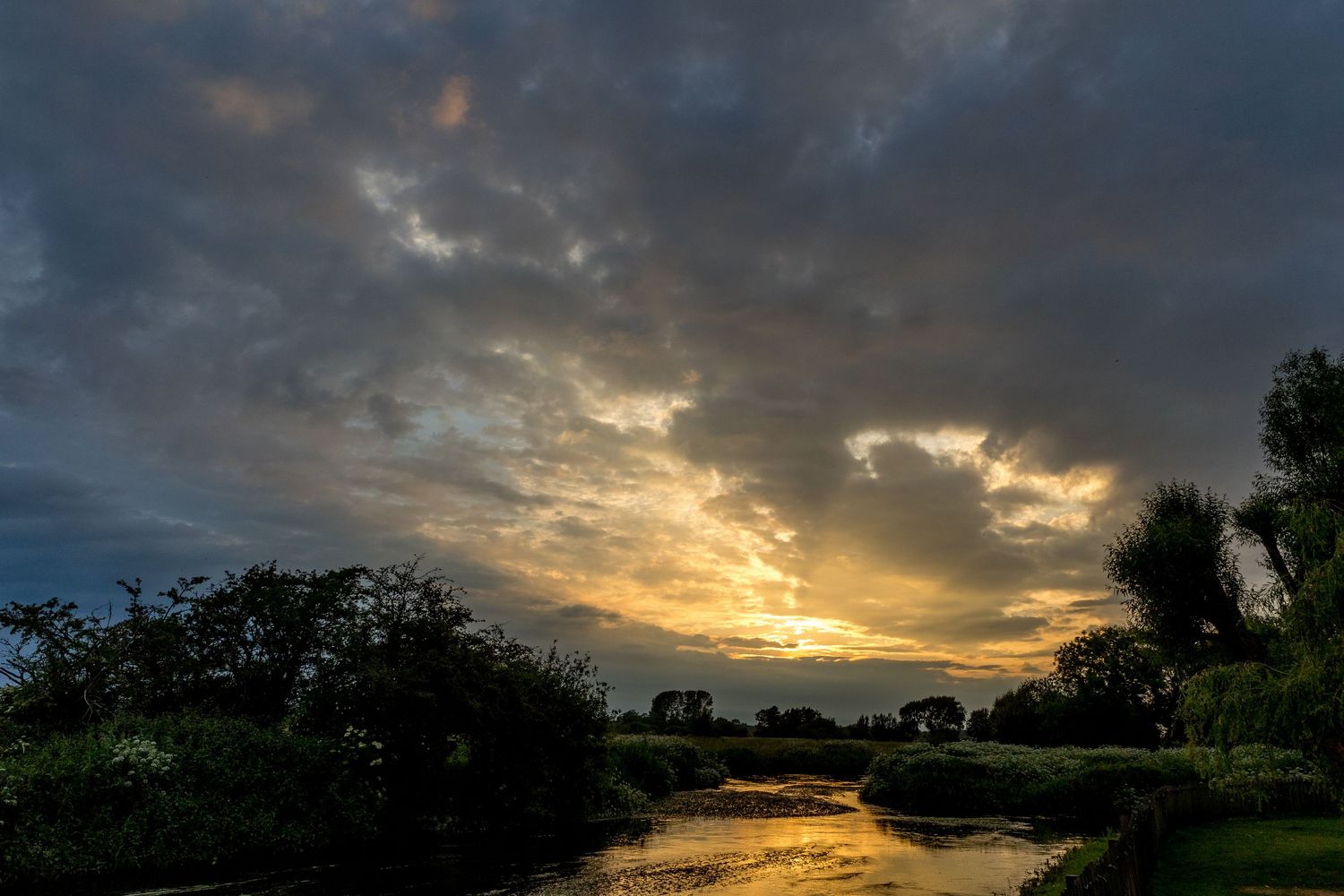 Golden sunset creates dramatic sky with dark clouds and silhouetted trees.