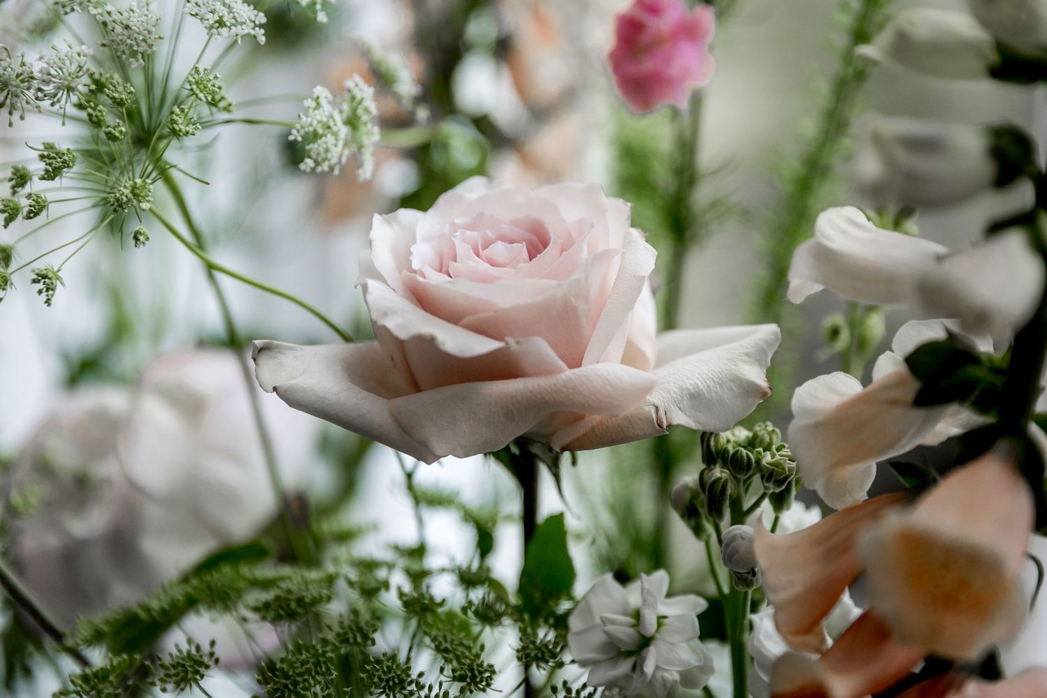 Close-up of pink roses and delicate greenery in a floral arrangement.
