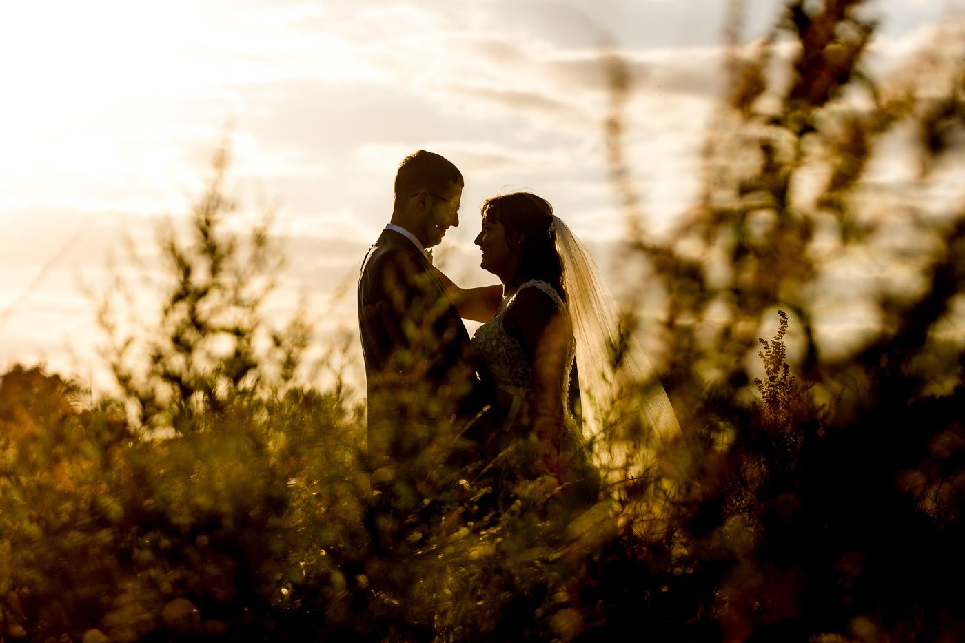 Silhouetted couple embracing at sunset with golden light filtering through trees.