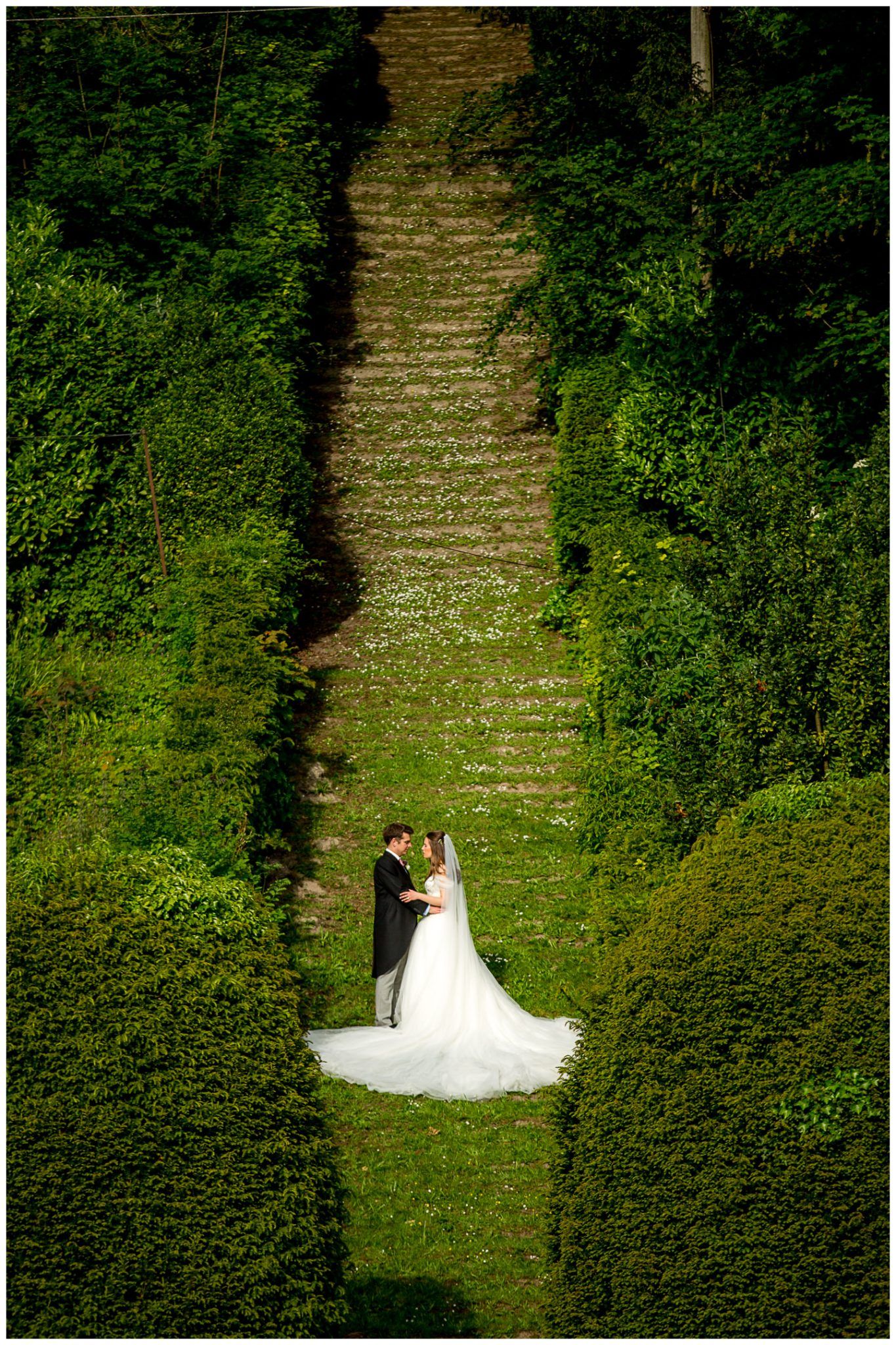 Aerial view of a wedding couple standing in a clearing surrounded by lush green hedges and trees.