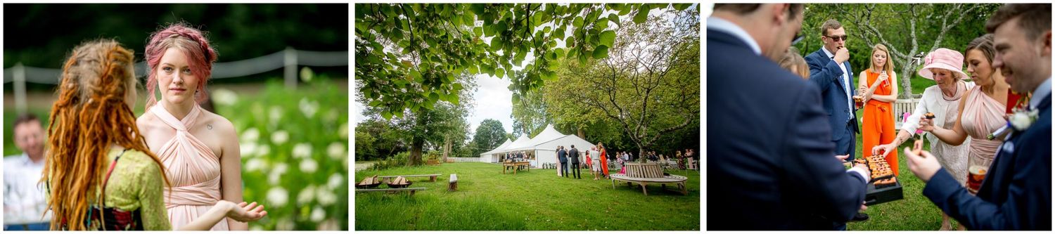 A collection of outdoor wedding photos showing romantic moments and natural settings during a summer celebration.