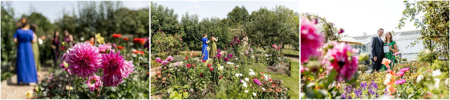 Vibrant pink flowers and garden landscaping at outdoor wedding venue.