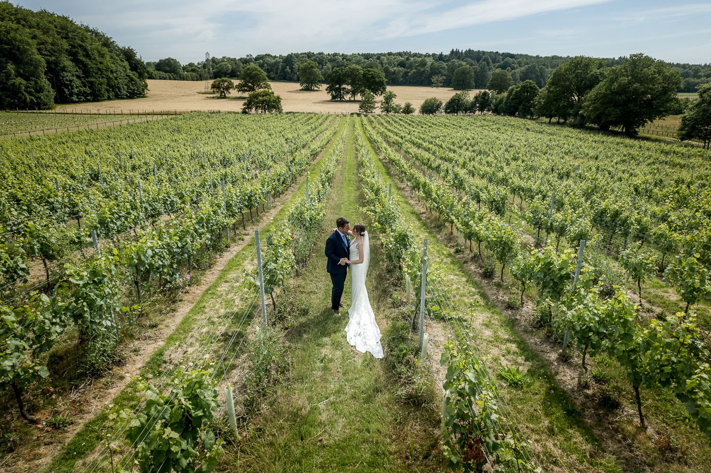 Aerial view of couple walking through vineyard rows on sunny day.