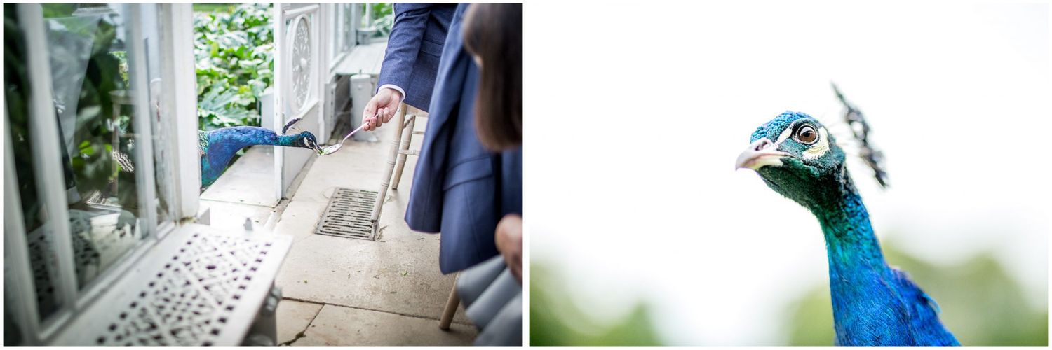 Decorative details and outdoor elements from an elegant wedding venue.