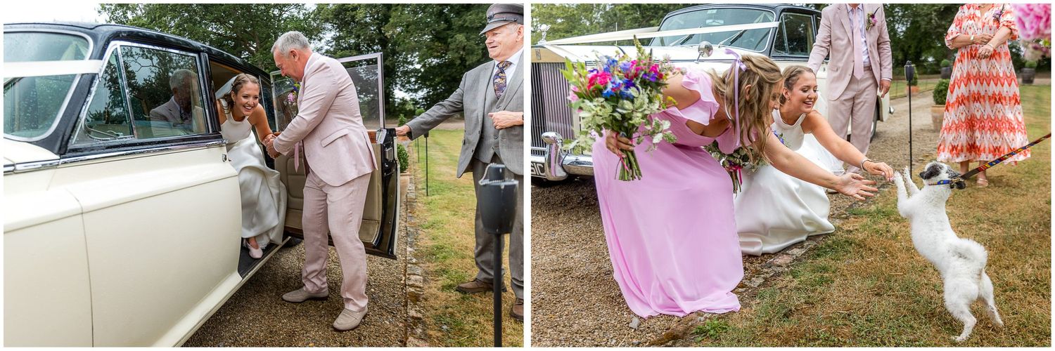 Bride arriving in vintage white wedding car with guests, and bridesmaid in pink dress greeting a white dog outdoors.