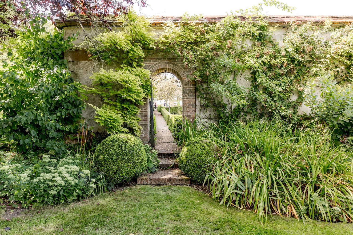Lush garden pathway with flowering plants and greenery creates a natural archway.