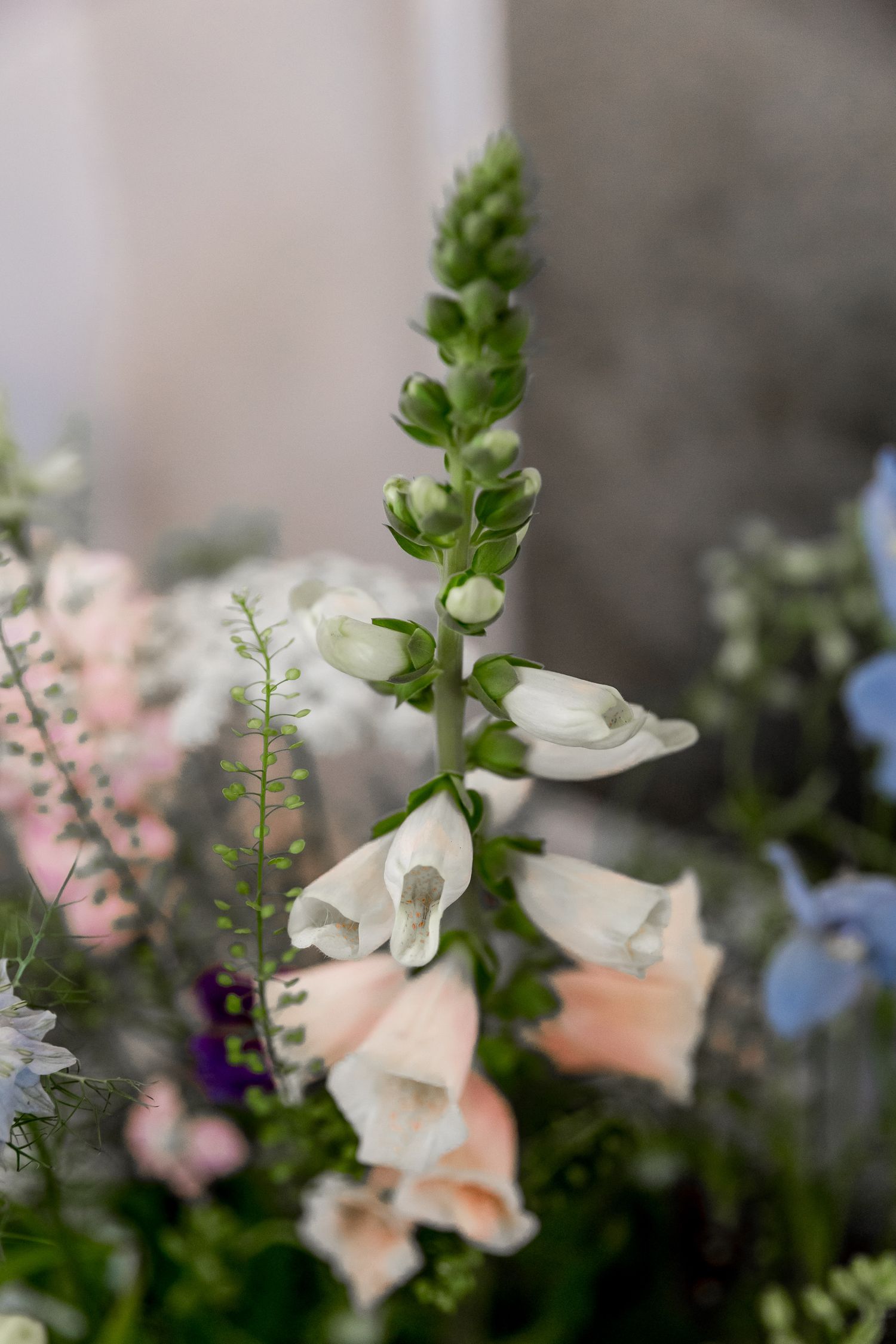 Artistic macro shot of white and pink wedding flowers with green foliage.