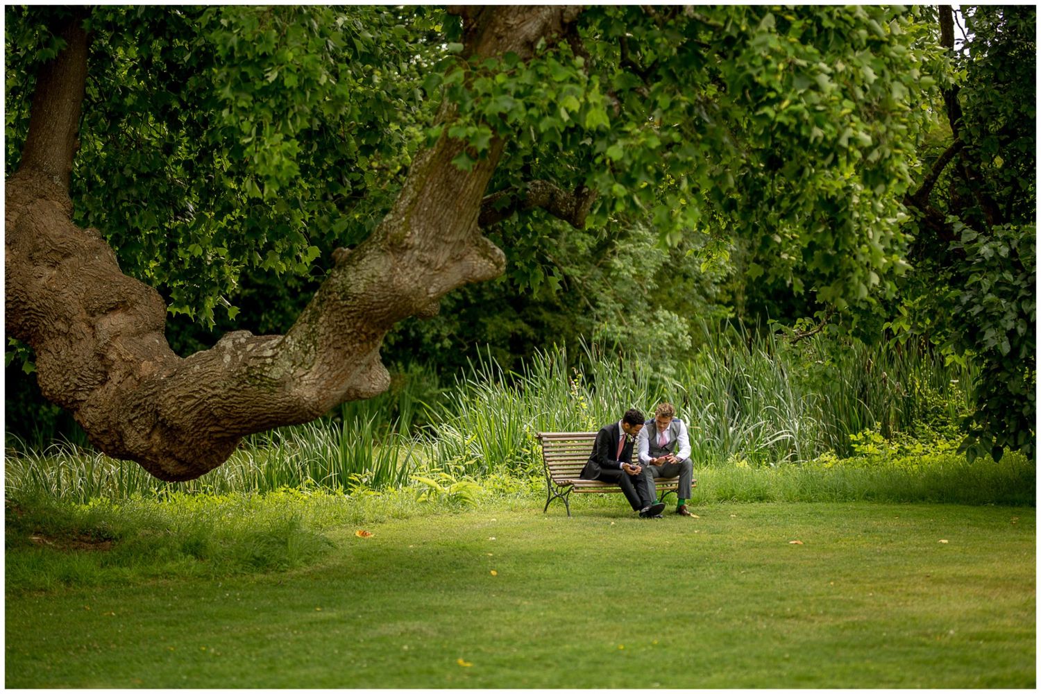 Two people sit together on a bench beneath a large curved tree branch in a lush green garden setting.
