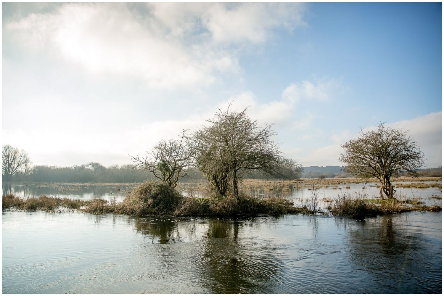 Serene winter landscape with bare trees reflected in still flood waters.