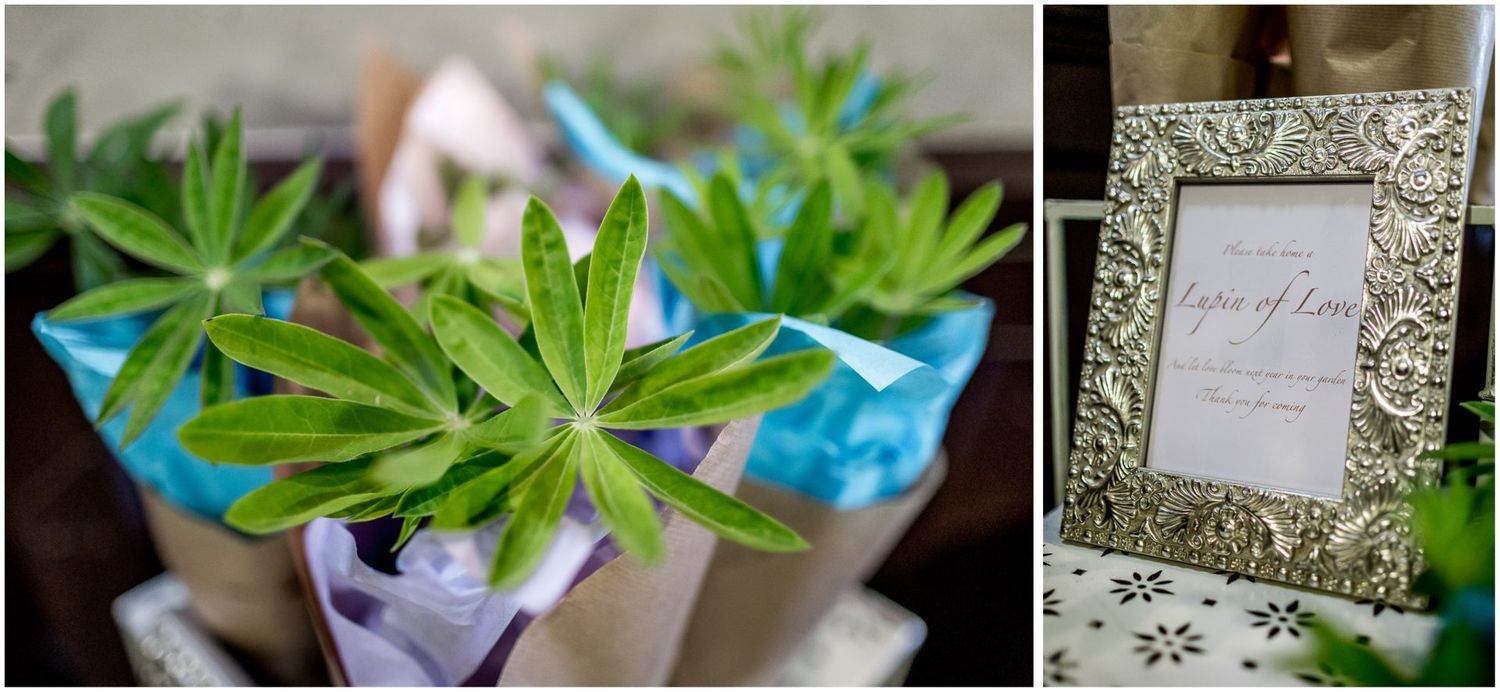 Close-up shots of wedding stationery and succulent decorations with pastel color accents.