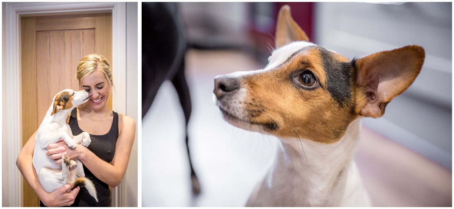 A collection of intimate wedding moments and portraits with a curious dog looking at the camera.