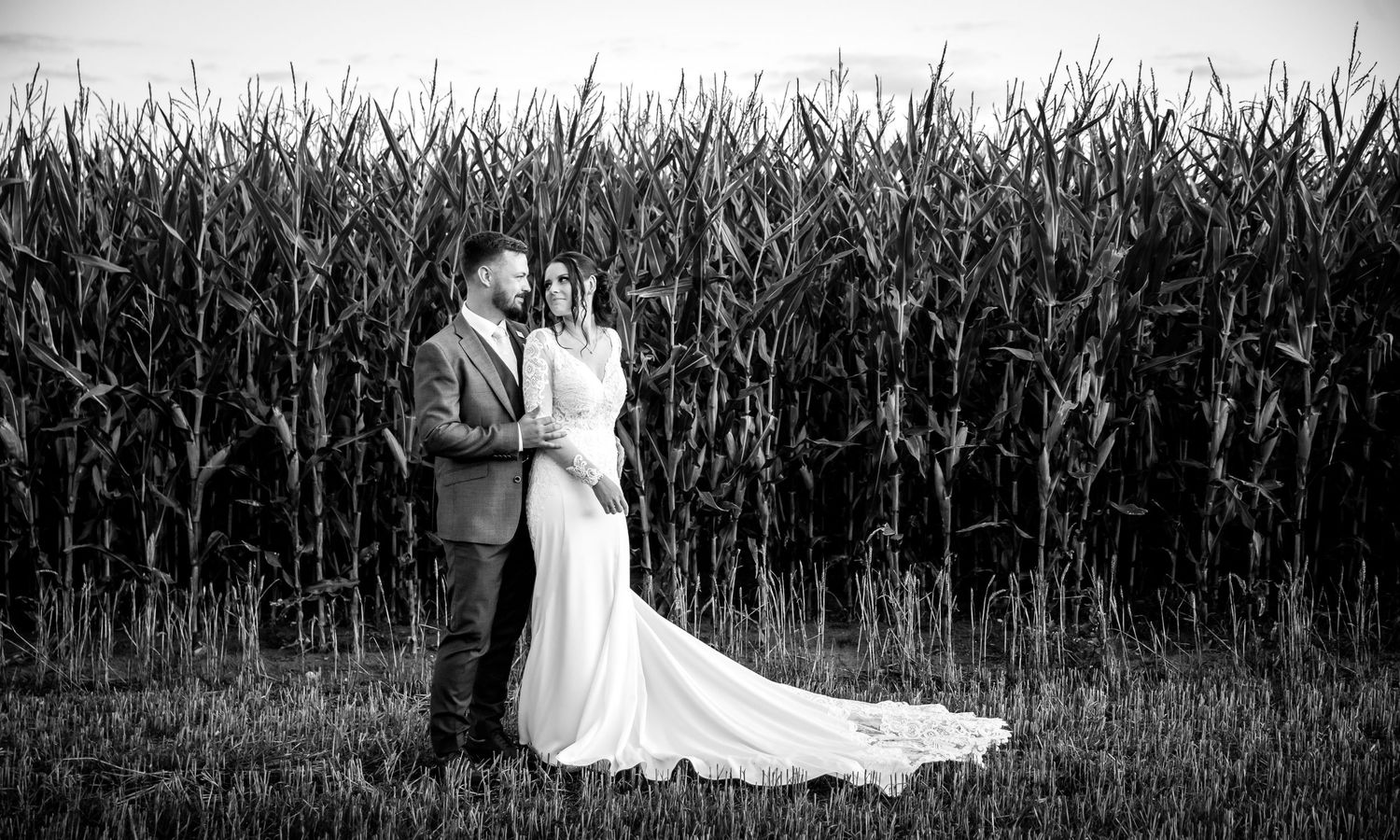 Wedding photography session in front of a tall cornfield creating dramatic silhouettes.