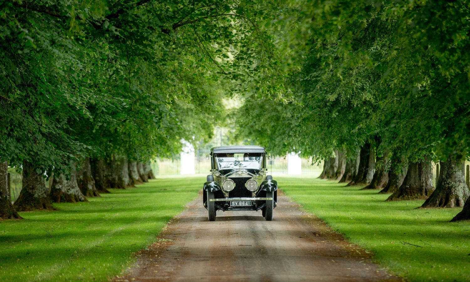 Tree-lined driveway creates a natural green tunnel leading to a countryside estate.