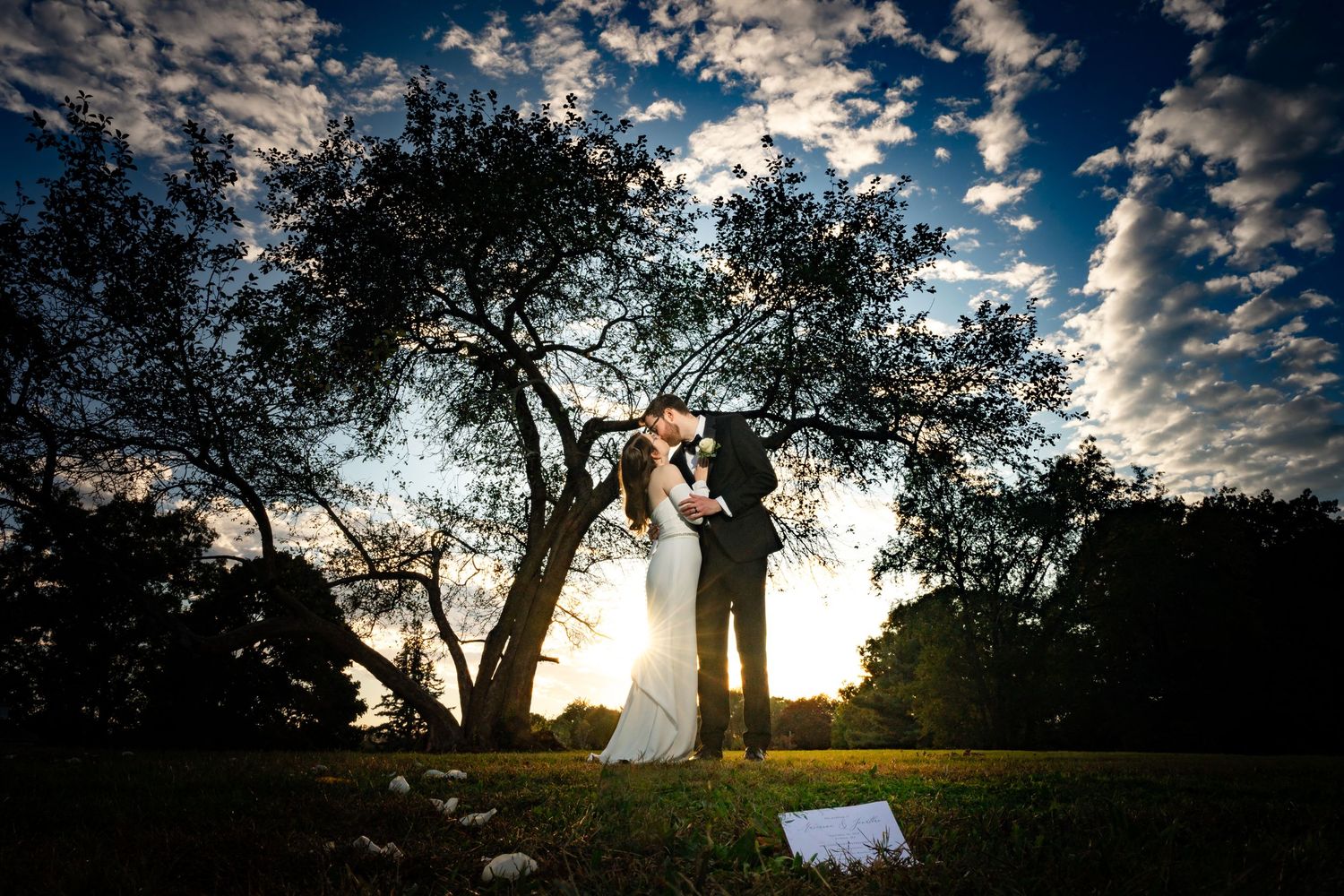 Dramatic backlit silhouettes against cloudy sky with trees creating artistic wedding scene composition.