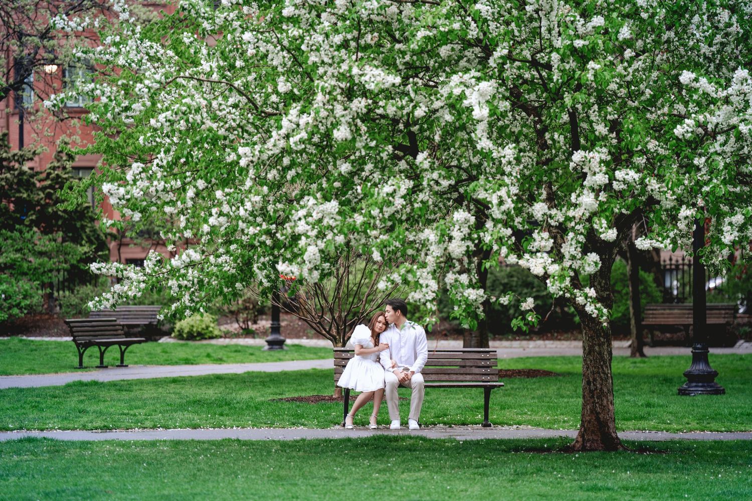 Two people sit on a wooden bench under a blooming white flowering tree in a peaceful park setting.