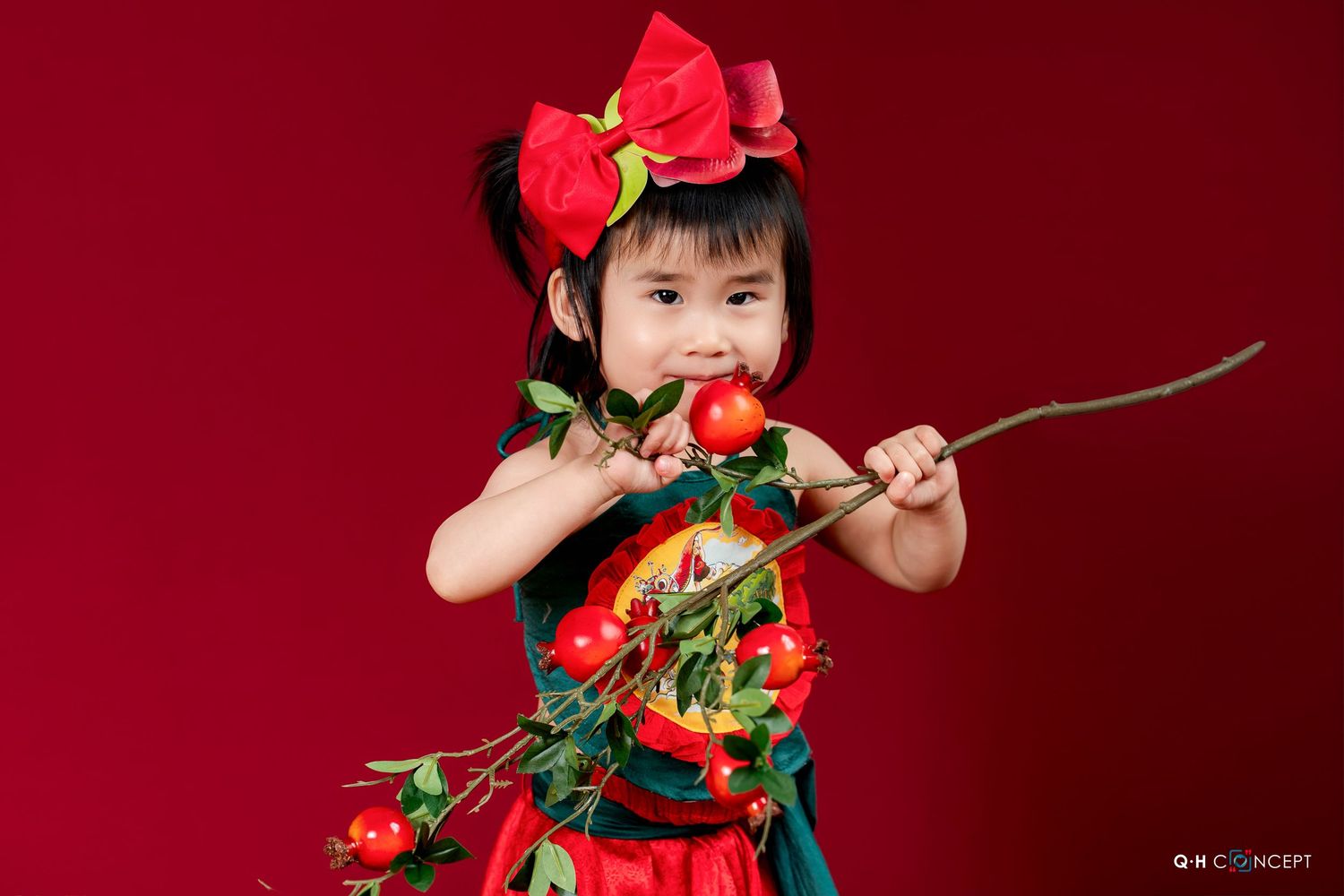 A young child in a red dress poses with roses against a deep burgundy backdrop for a festive holiday portrait session.