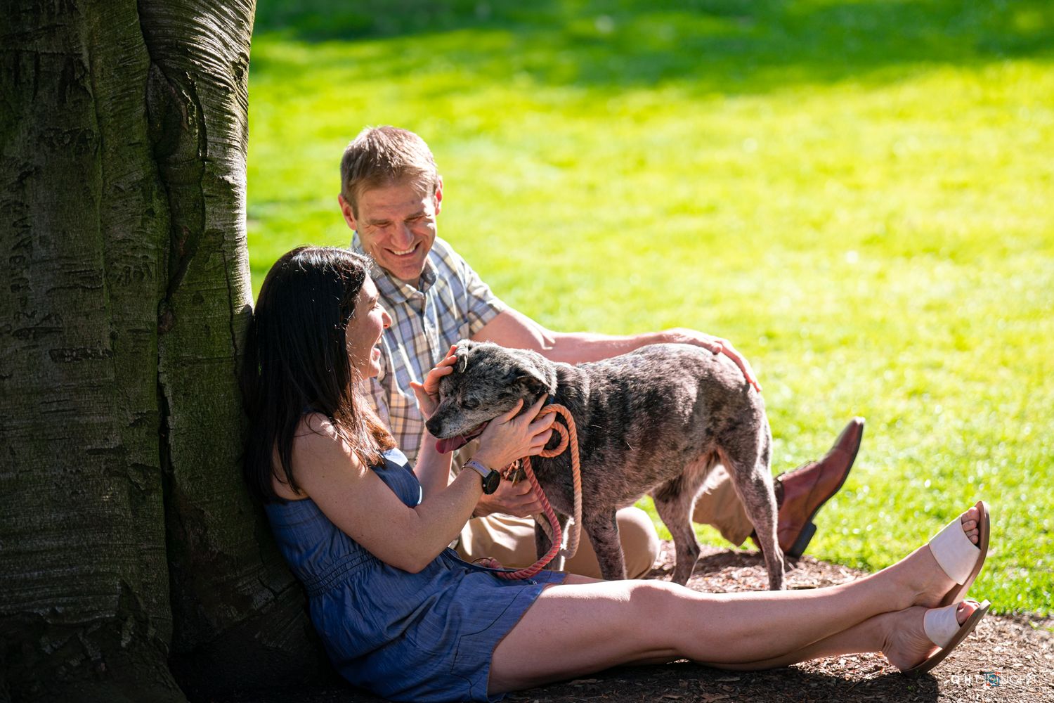 A relaxed couple sits under a tree with their dog on a sunny afternoon.