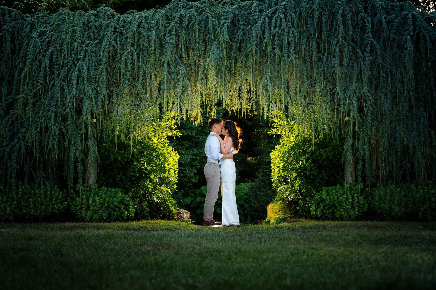 Couple embracing under illuminated weeping willow trees in an evening garden setting.
