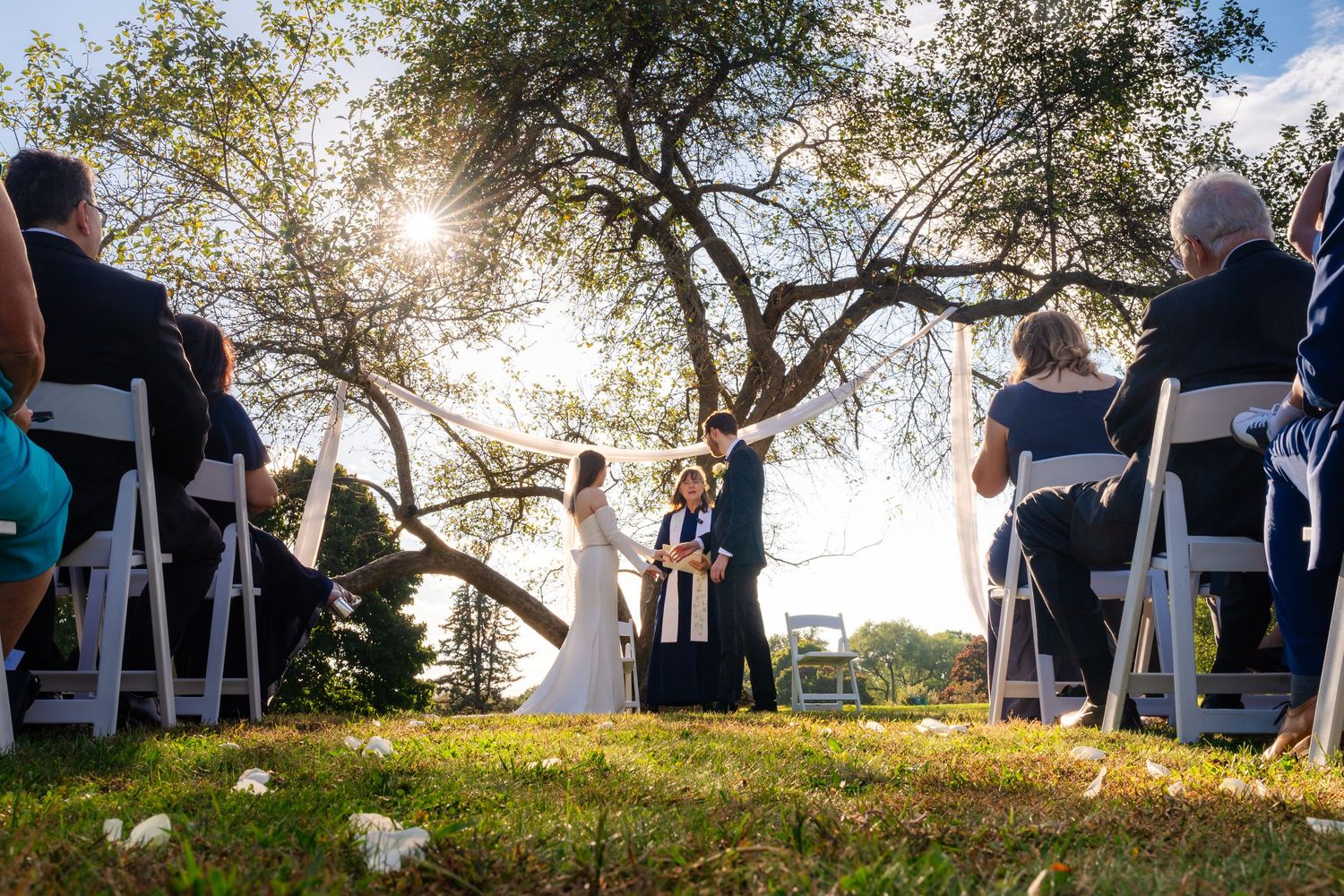 Outdoor wedding ceremony setup with white chairs under trees during golden hour.