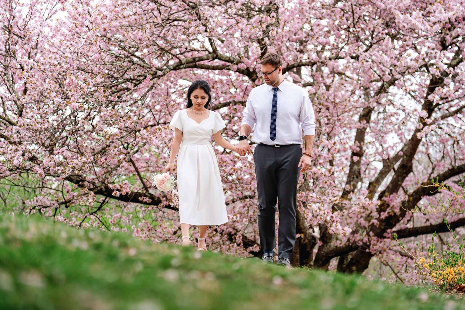 A couple walks together under blooming cherry blossom trees during springtime in a romantic garden setting.