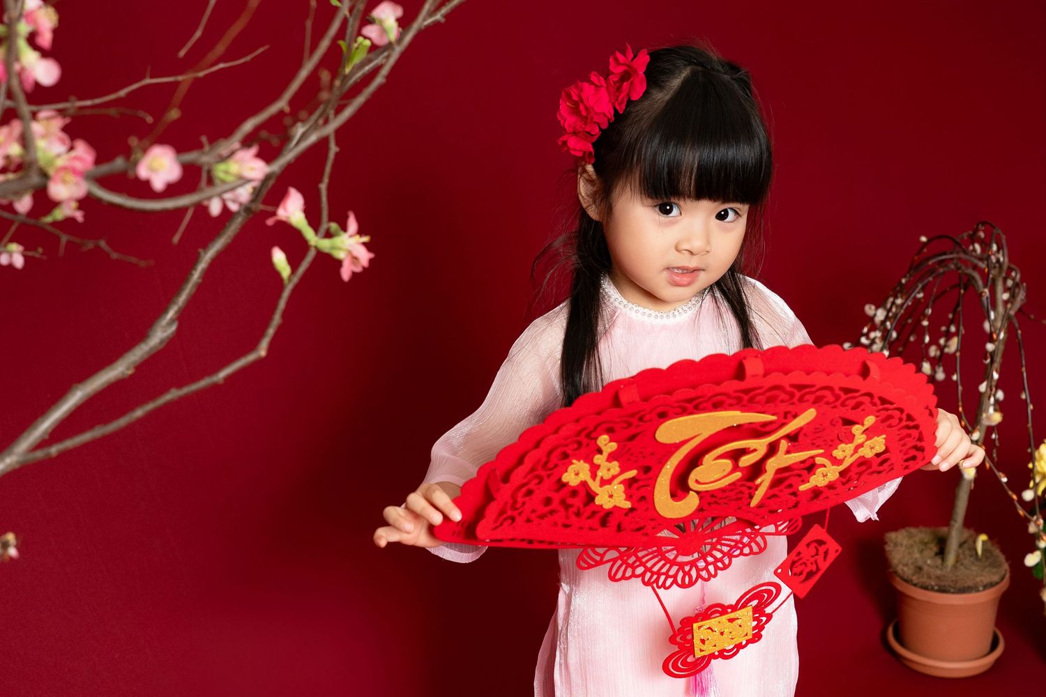 Child in traditional red Chinese dress poses with plum blossoms against crimson background for Lunar New Year celebration.