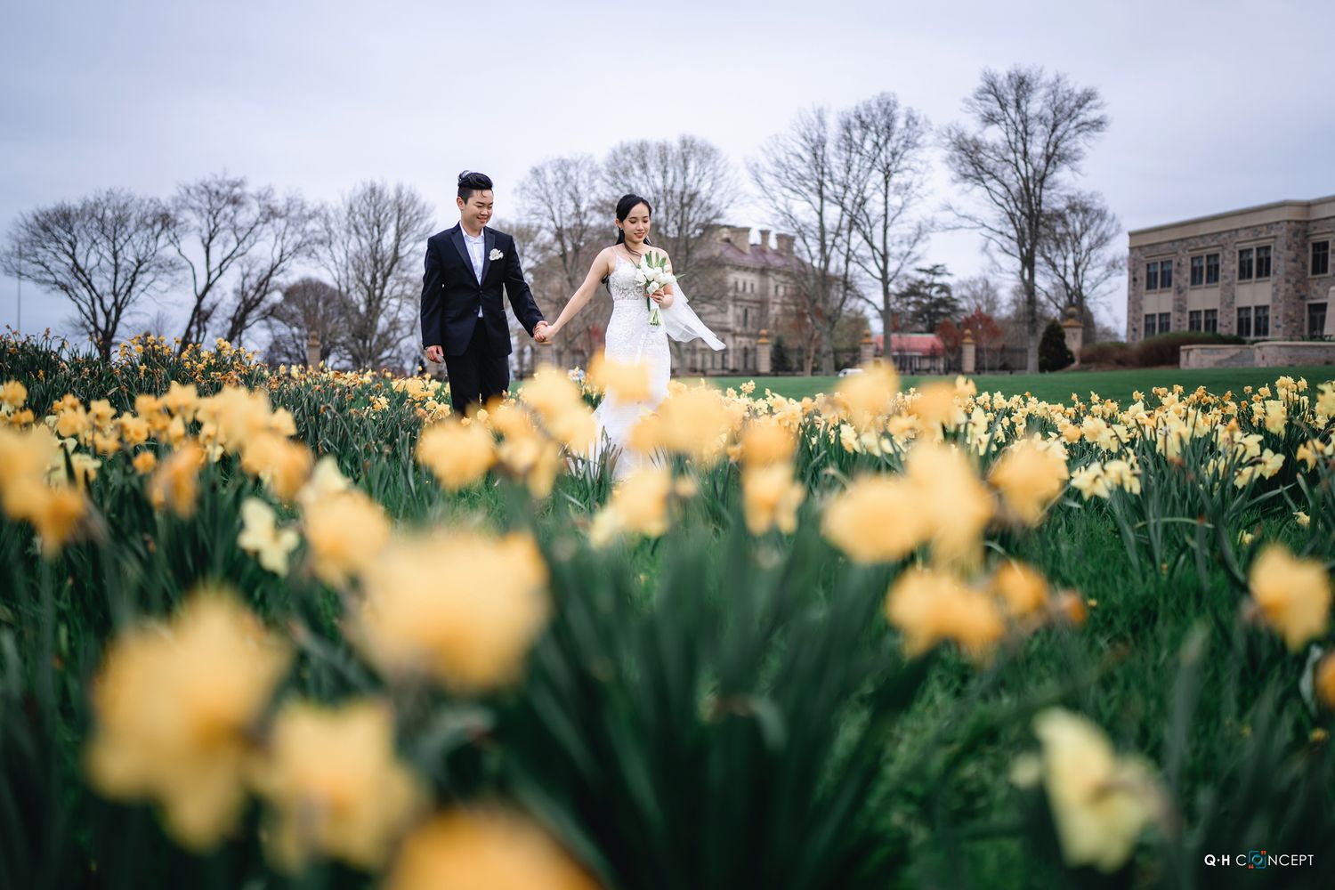 Row of bright yellow daffodils blooming in spring garden with soft focus background and sunlit bokeh effect.