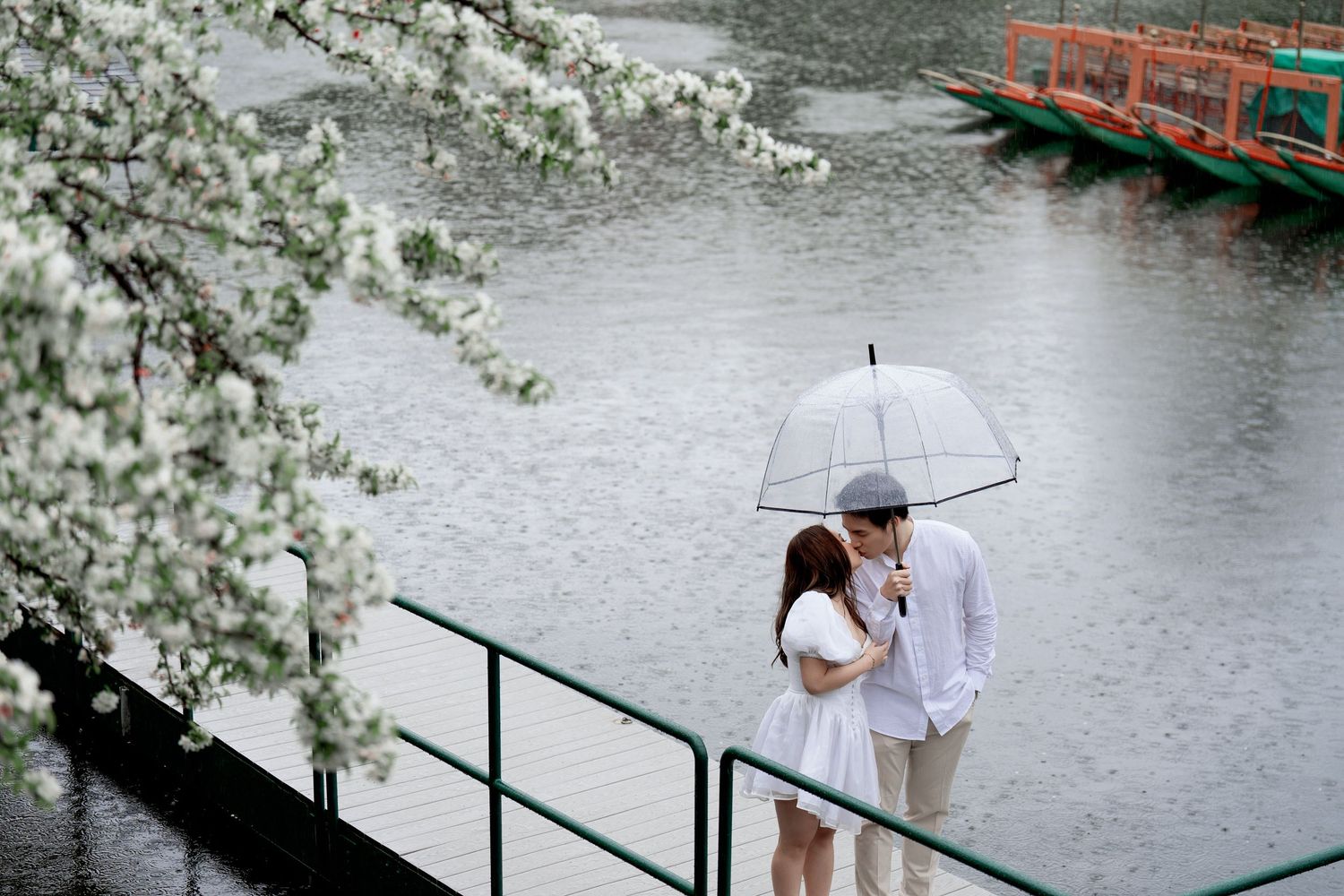 A couple with white umbrellas shares a romantic moment by a lake during a rainy spring day with cherry blossoms.
