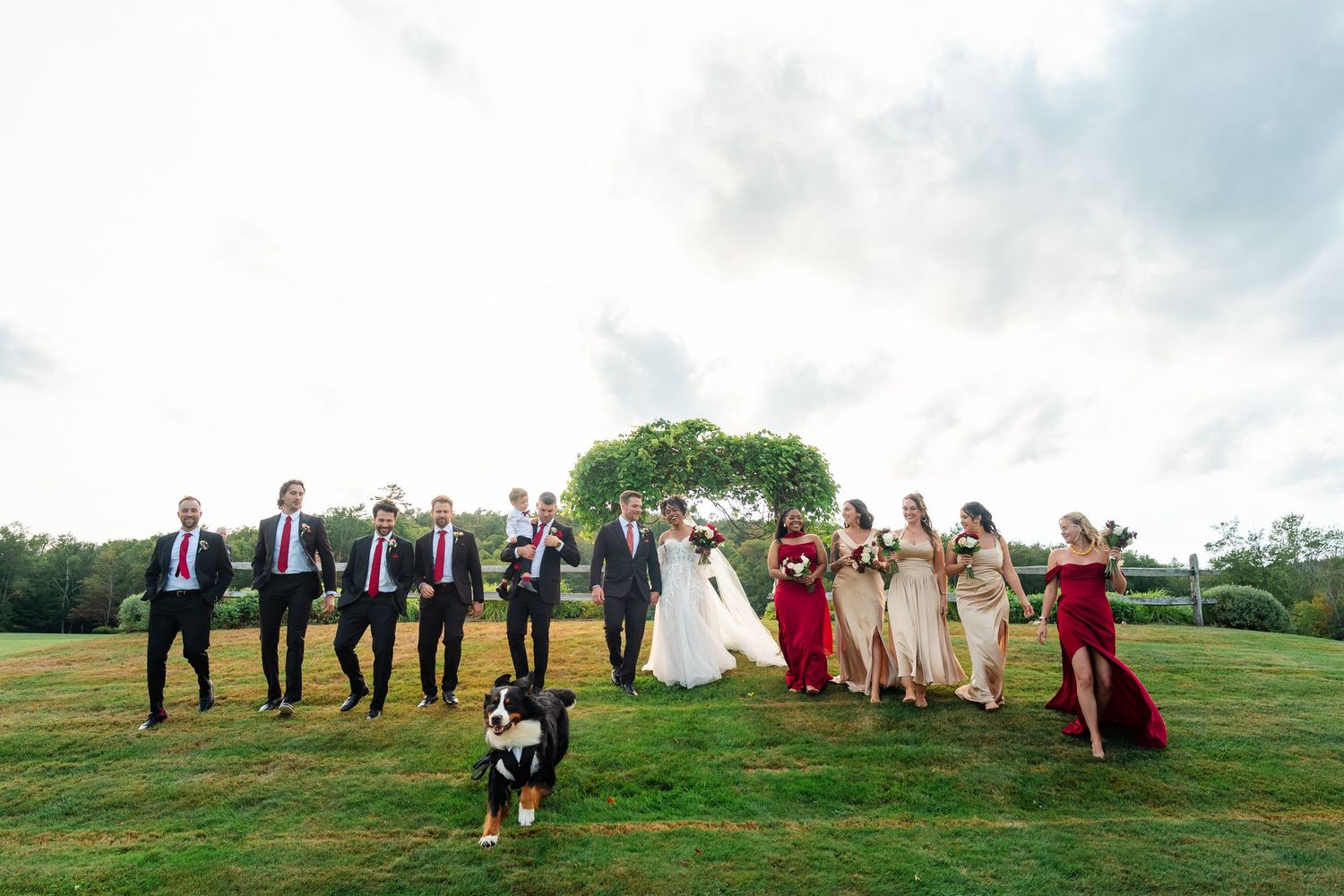 Wedding party posing on hillside with dramatic mountain landscape behind them.
