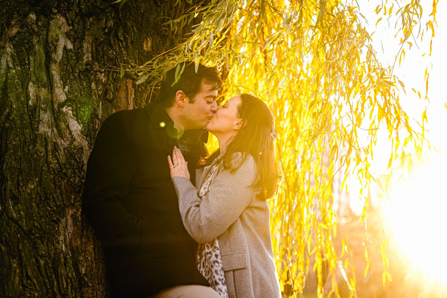 A romantic couple shares a kiss under a golden willow tree at sunset, creating a dreamy silhouette.
