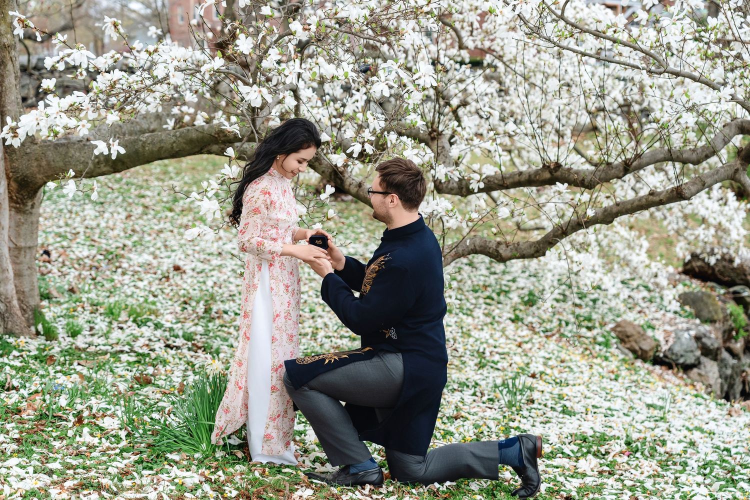 Couple sharing a romantic dip kiss under blooming cherry blossom trees in a scenic park.