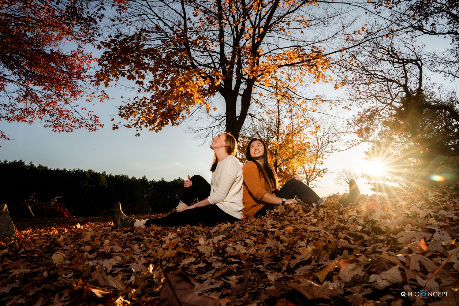 Silhouetted couple against autumn sunset with trees and golden light.