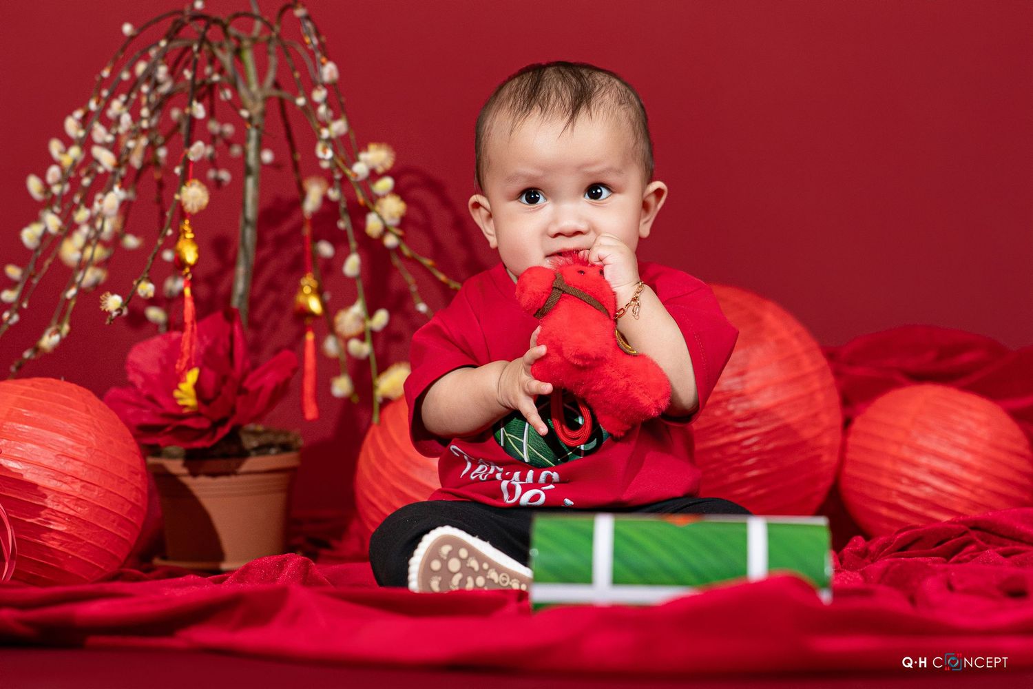 A festive holiday scene with red lanterns and decorative branches against a crimson backdrop.