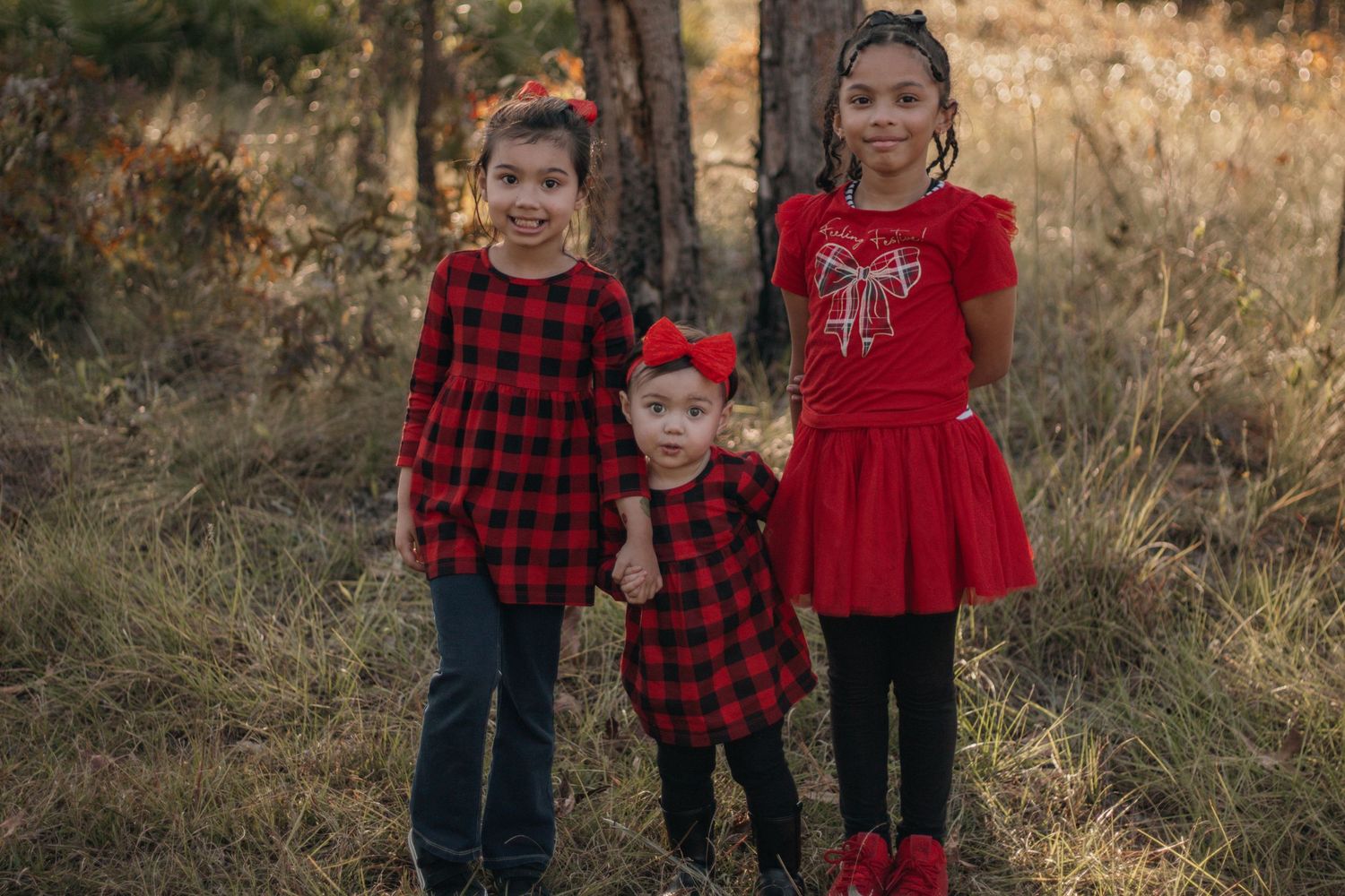 Family Session In a field setting