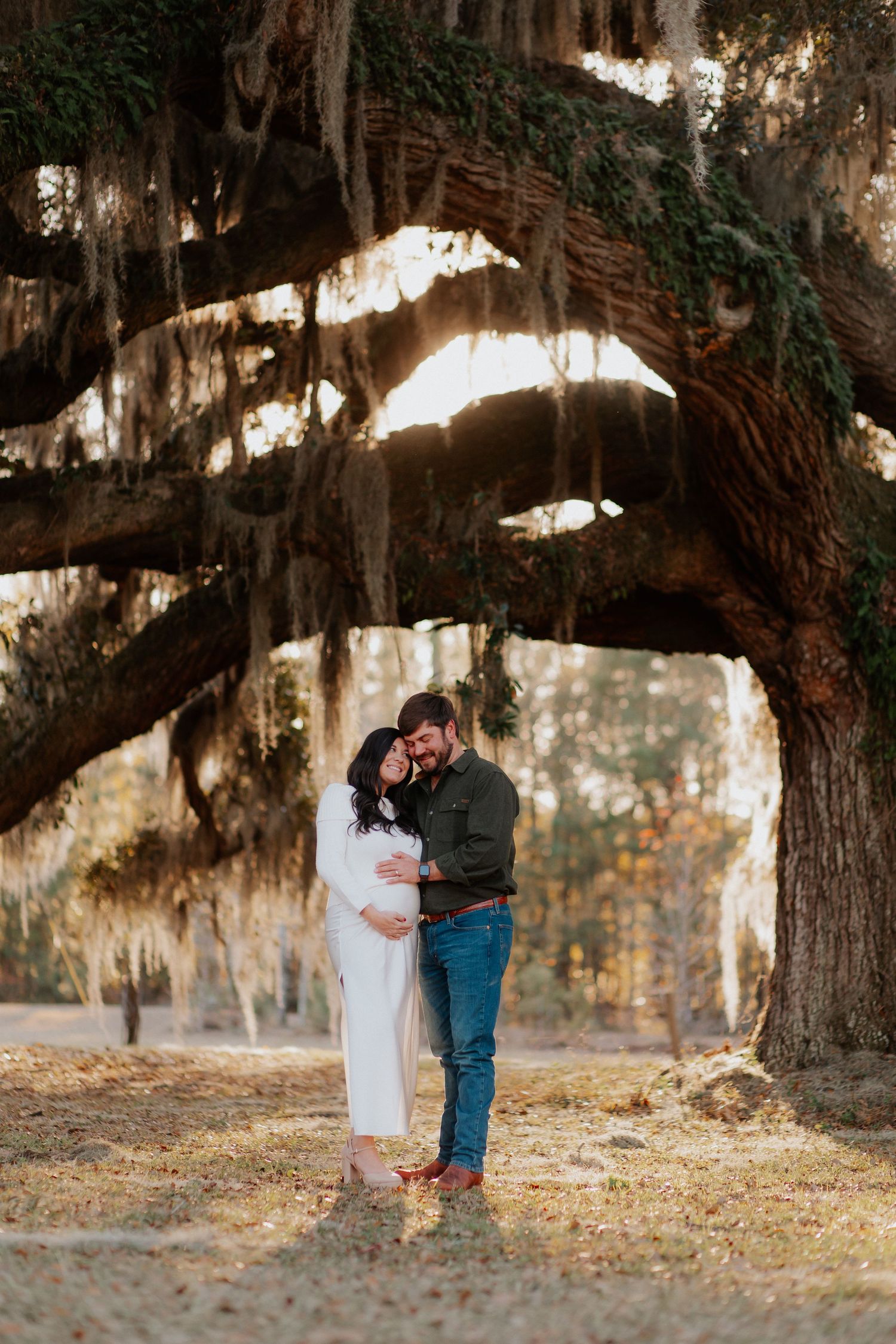 Romantic maternity portrait under Spanish moss draped oak tree at sunset.