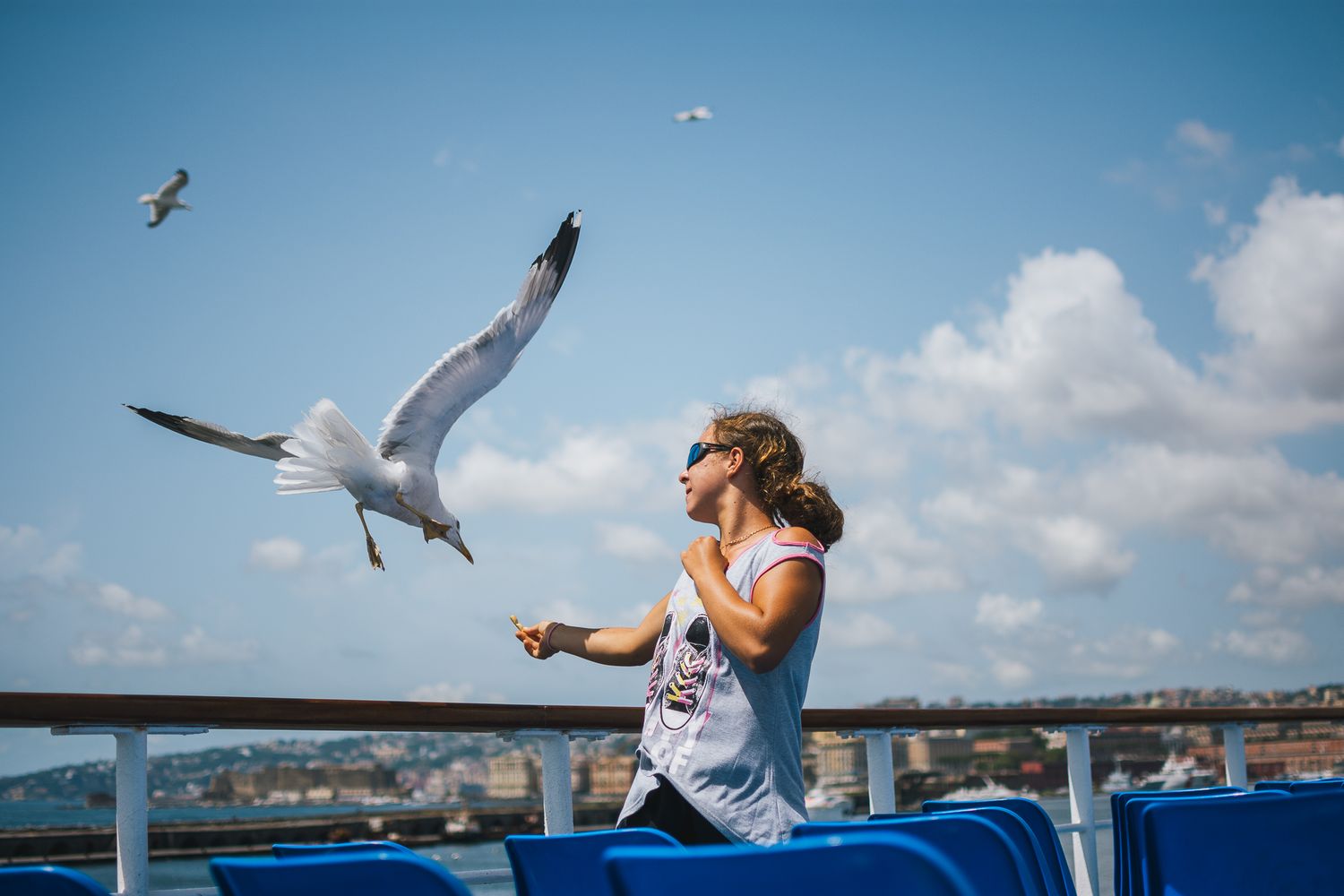 Seagulls soar gracefully over a blue ocean while someone feeds them bread from a cruise ship deck.