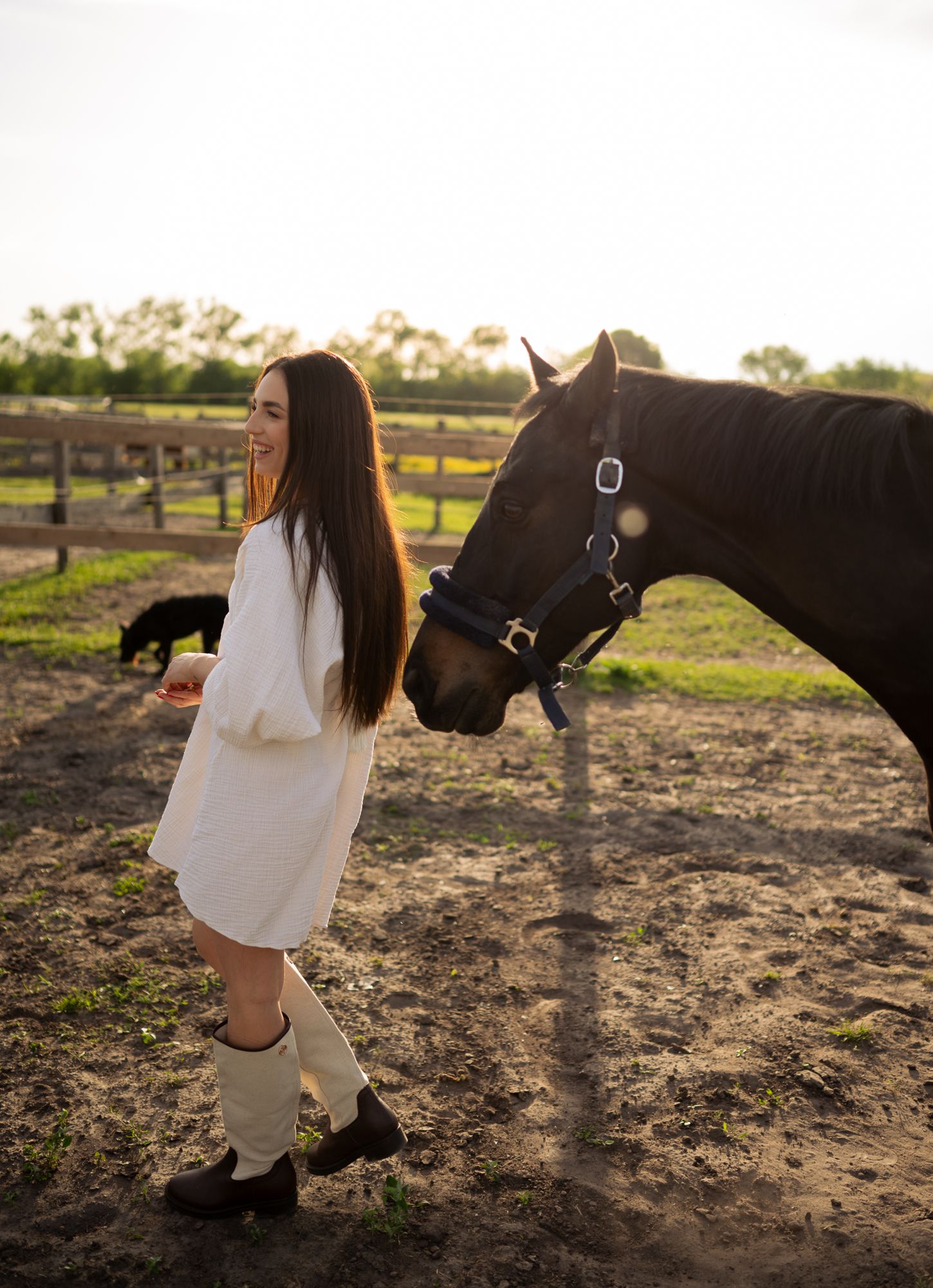 Person in flowing white dress interacts with dark horse in outdoor paddock setting.
