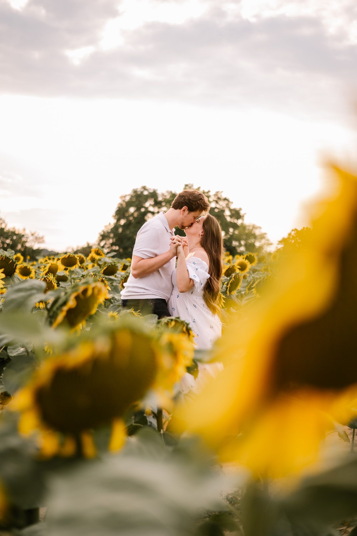 Couple embracing among tall sunflowers at sunset.