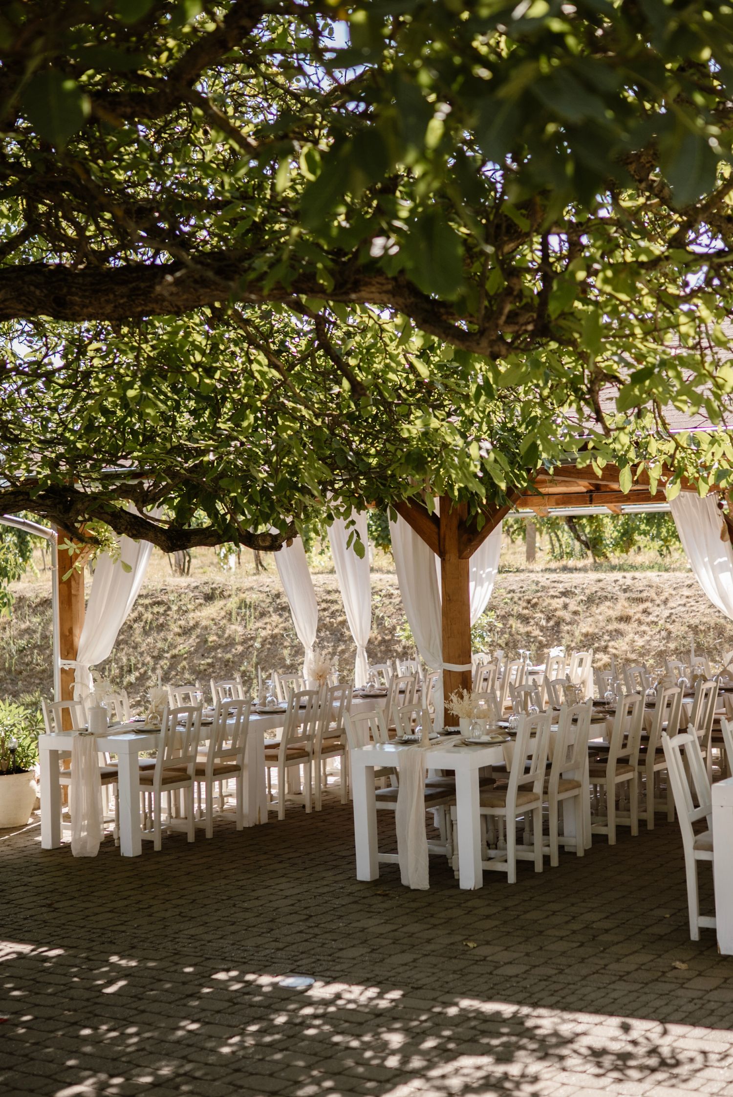 Long white tables and chairs set for a wedding reception under a lush green tree canopy.