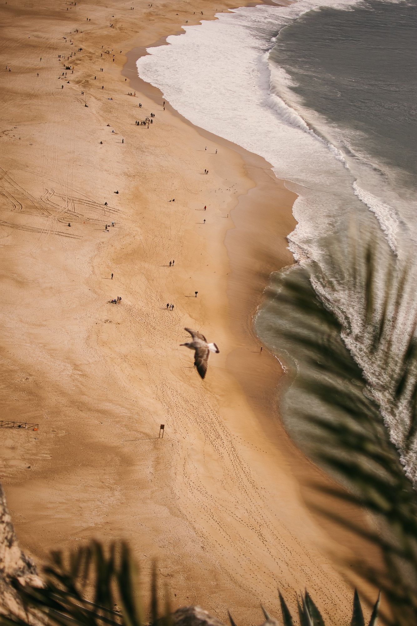 Aerial view of sandy beach coastline with people appearing as tiny dots along the shore.