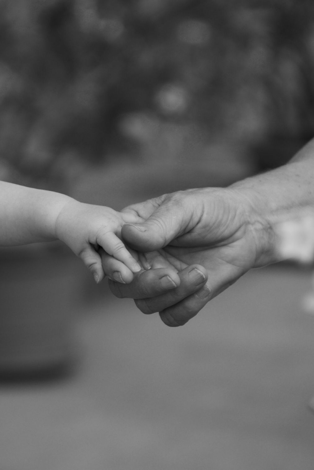 Black and white photo of a child's small hand gently holding an elderly person's wrinkled hand outdoors.