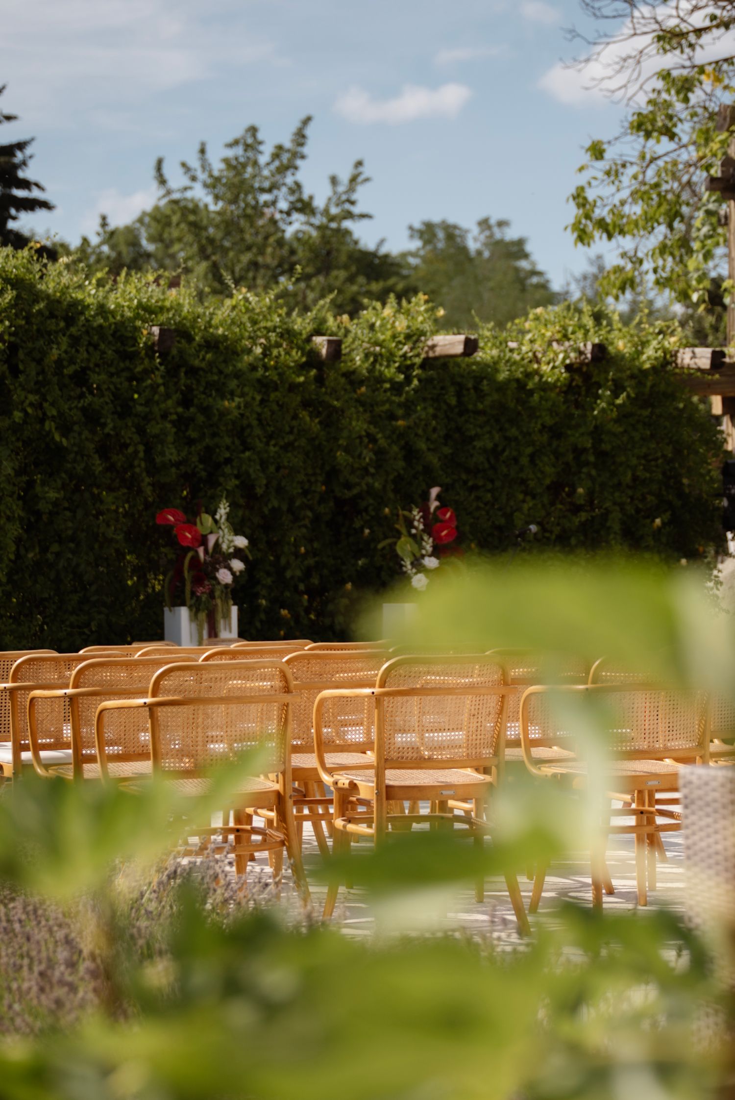 Elegant outdoor wedding ceremony setup with rattan chairs arranged in rows facing floral arrangements against a green hedge.