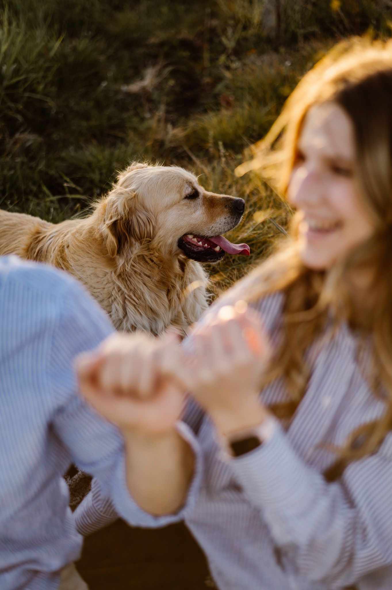 Golden hour sequence showing a person and their dog sharing joyful moments outdoors.