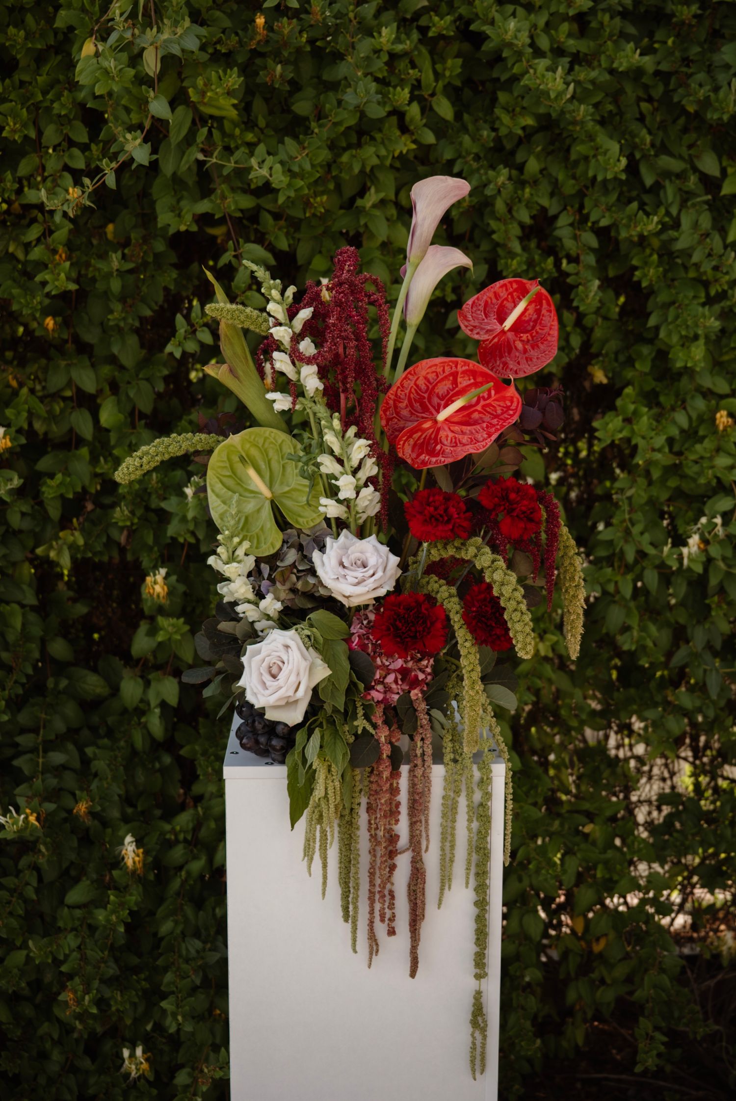 Elegant floral arrangement with red anthuriums, white roses, and cascading greenery on a white pedestal against lush foliage.