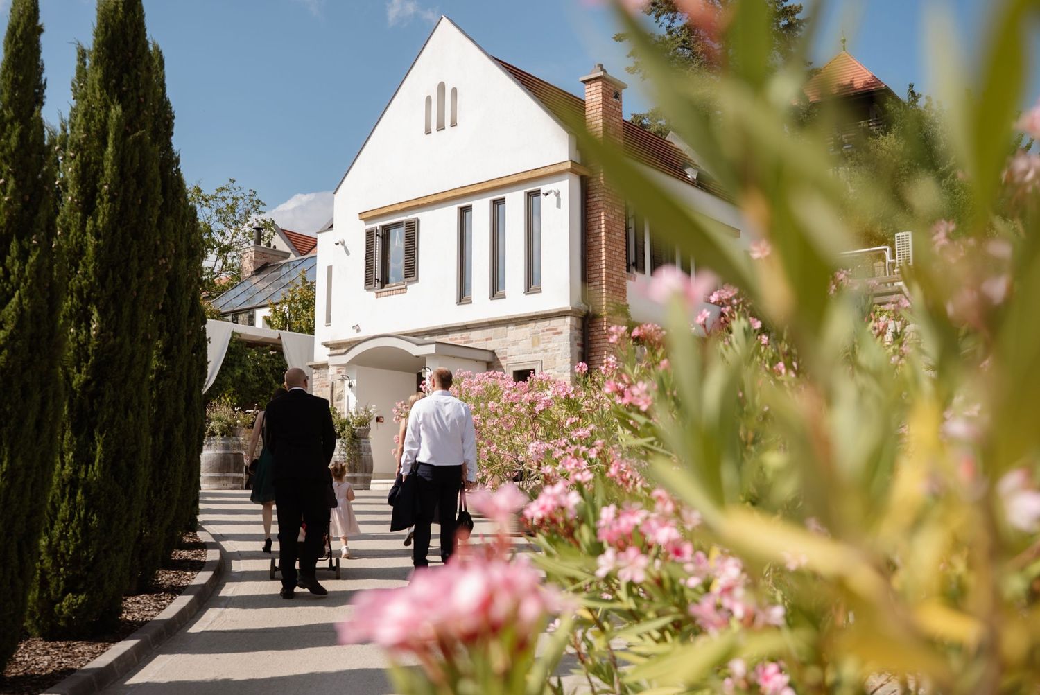 Two people walking toward a white historic house surrounded by cypress trees and pink flowering shrubs on a sunny day.