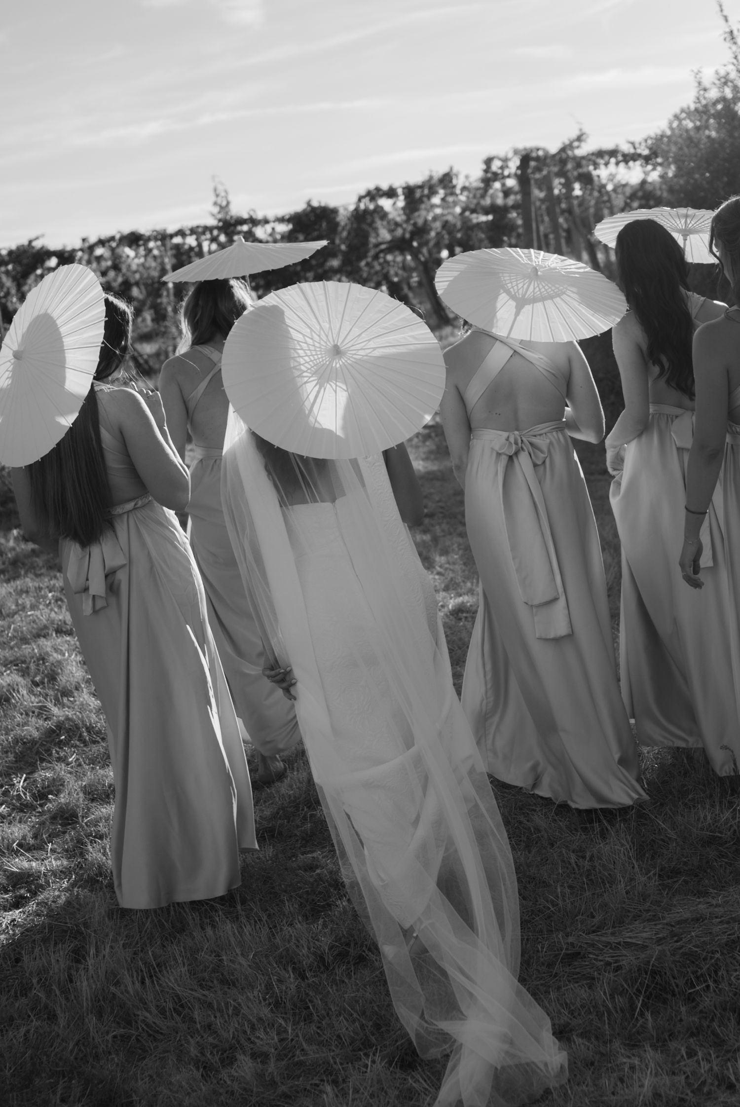 Black and white photo of bride and bridesmaids holding parasols walking through a vineyard.